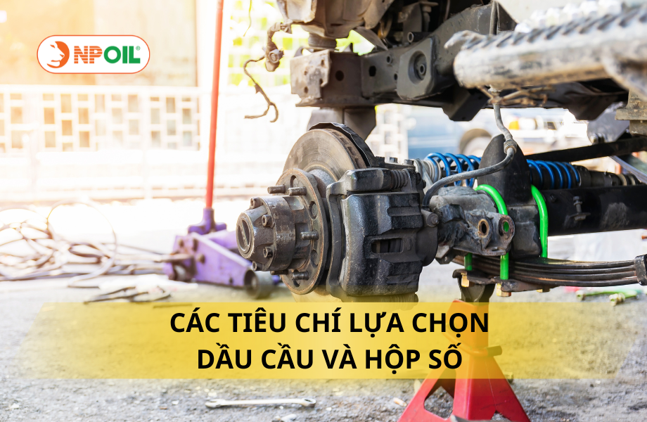 CAC TIEU CHI LUA CHON DAU CAU VA HOP SO