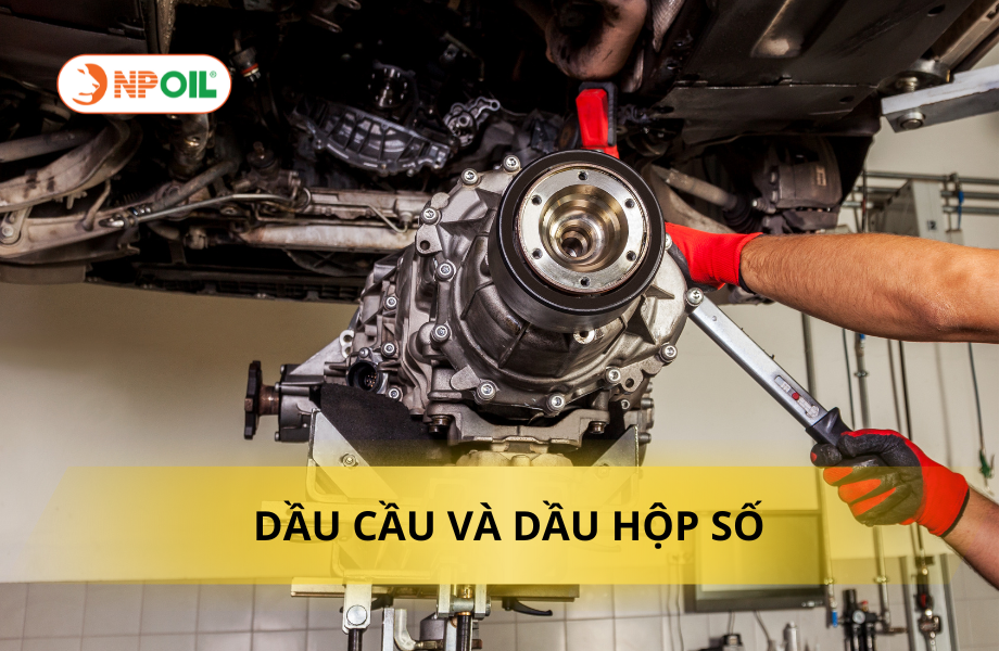 DẦU CẦU VÀ DẦU HỘP SỐ